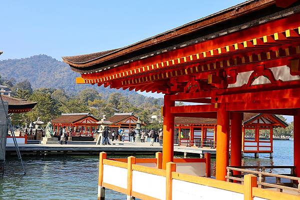 2025日本九州四國本州之旅 - 廣島縣宮島 嚴島神社