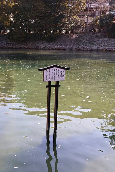 2025日本九州四國本州之旅 - 廣島縣宮島 嚴島神社