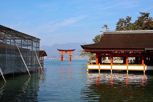 2025日本九州四國本州之旅 - 廣島縣宮島 嚴島神社