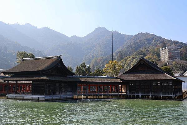 2025日本九州四國本州之旅 - 廣島縣宮島 嚴島神社
