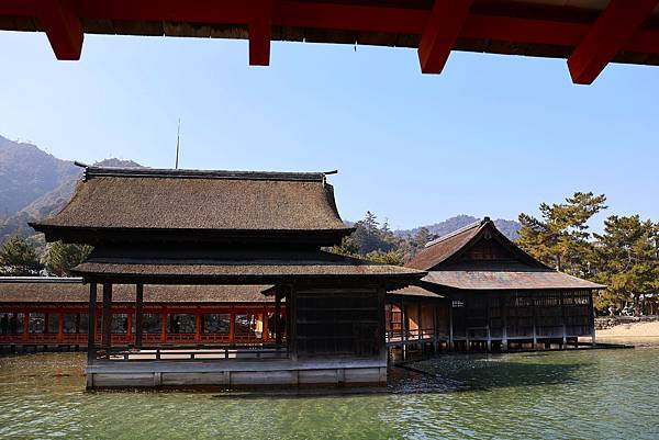 2025日本九州四國本州之旅 - 廣島縣宮島 嚴島神社