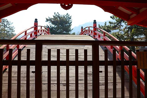 2025日本九州四國本州之旅 - 廣島縣宮島 嚴島神社