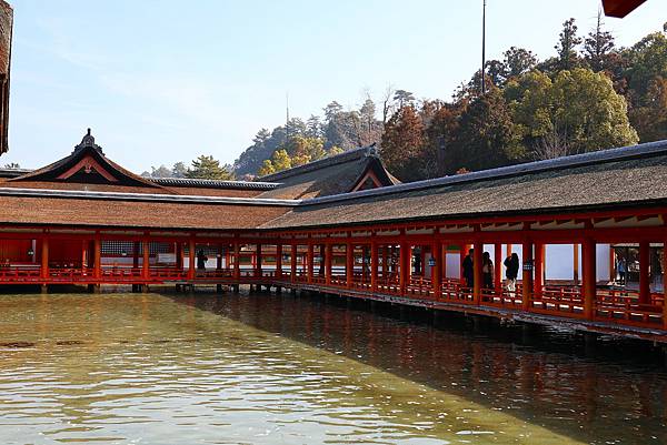 2025日本九州四國本州之旅 - 廣島縣宮島 嚴島神社