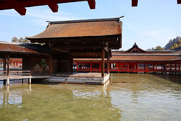 2025日本九州四國本州之旅 - 廣島縣宮島 嚴島神社