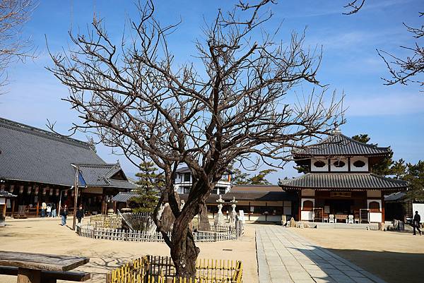 2025日本九州四國本州之旅 - 廣島縣宮島 嚴島神社