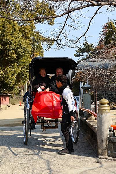 2025日本九州四國本州之旅 - 廣島縣宮島 嚴島神社