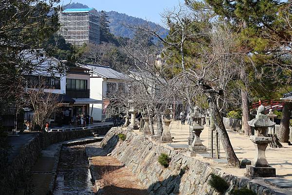 2025日本九州四國本州之旅 - 廣島縣宮島 嚴島神社