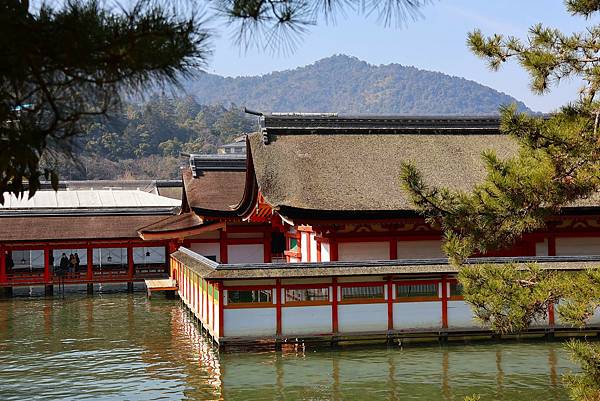 2025日本九州四國本州之旅 - 廣島縣宮島 嚴島神社