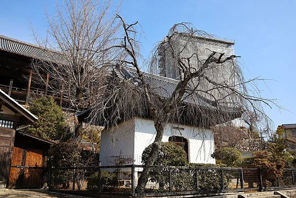 2025日本九州四國本州之旅 - 廣島縣宮島 嚴島神社
