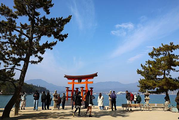 2025日本九州四國本州之旅 - 廣島縣宮島 嚴島神社
