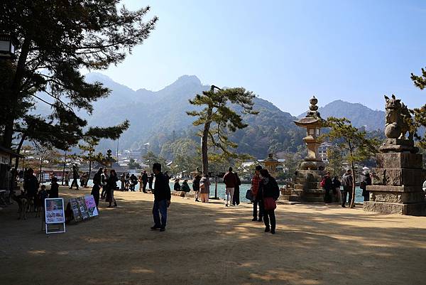 2025日本九州四國本州之旅 - 廣島縣宮島 嚴島神社