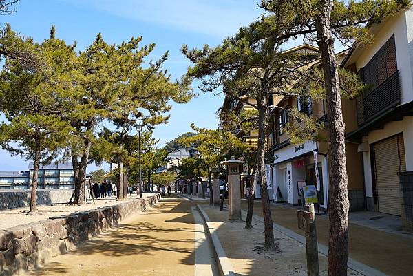 2025日本九州四國本州之旅 - 廣島縣宮島 嚴島神社