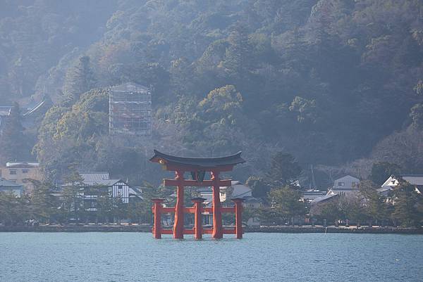2025日本九州四國本州之旅 - 廣島縣宮島 嚴島神社