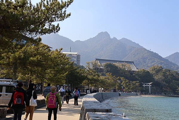 2025日本九州四國本州之旅 - 廣島縣宮島 嚴島神社