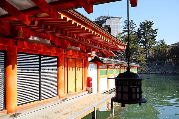 2025日本九州四國本州之旅 - 廣島縣宮島 嚴島神社