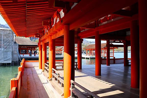 2025日本九州四國本州之旅 - 廣島縣宮島 嚴島神社