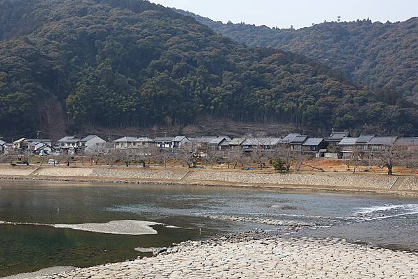 2025日本九州四國本州之旅 - 山口縣岩國市 錦帶橋