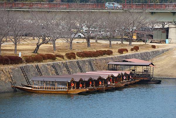 2025日本九州四國本州之旅 - 山口縣岩國市 錦帶橋