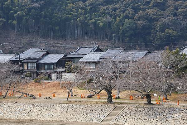 2025日本九州四國本州之旅 - 山口縣岩國市 錦帶橋