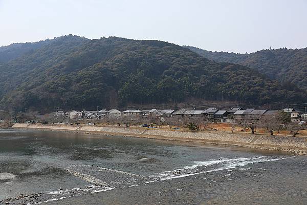 2025日本九州四國本州之旅 - 山口縣岩國市 錦帶橋