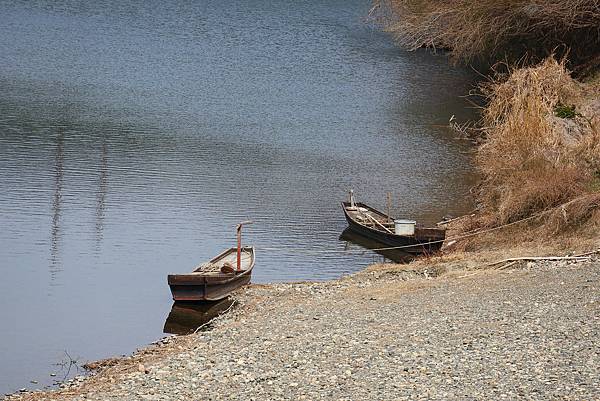 2025日本九州四國本州之旅 - 山口縣岩國市 錦帶橋