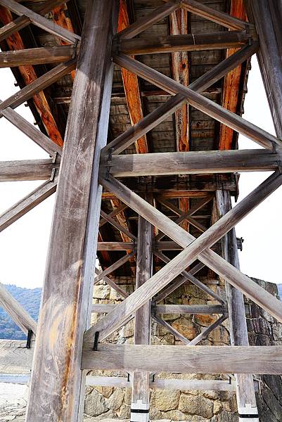 2025日本九州四國本州之旅 - 山口縣岩國市 錦帶橋