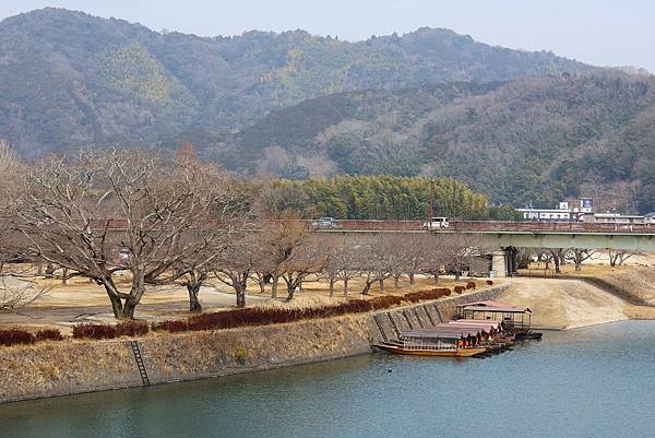 2025日本九州四國本州之旅 - 山口縣岩國市 錦帶橋