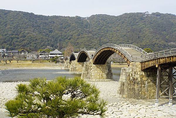 2025日本九州四國本州之旅 - 山口縣岩國市 錦帶橋