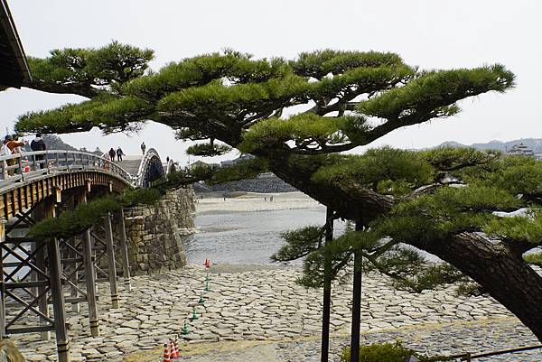 2025日本九州四國本州之旅 - 山口縣岩國市 錦帶橋