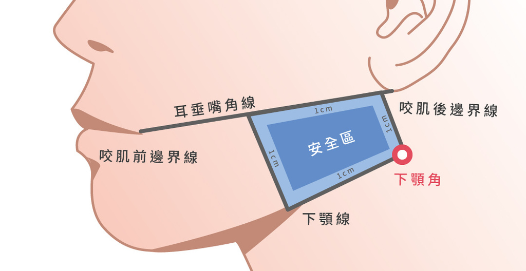 肉毒桿菌消除咀嚼肌肉毒桿菌瘦臉肉毒瘦臉注意事項肉毒小臉效果彭賢禮國際期刊02.jpg 肉毒桿菌消除咀嚼肌肉毒桿菌瘦臉肉毒瘦臉注意事項肉毒小臉效果彭賢禮國際期刊02.jpg