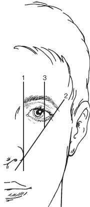 eyebrow position