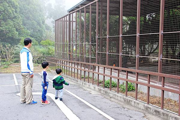 鳳凰谷鳥園6.jpg