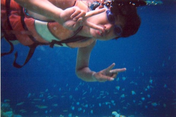 沒和水母一起游過泳吧！