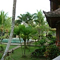 Indonesia照片0710-0724 2004 008.jpg