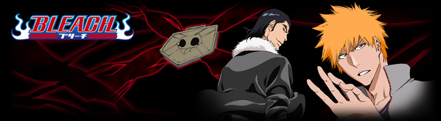 BLEACH BLEACH