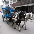 策馬特全城禁行汽油車,大多都行駛電動車,高級飯店用馬拉車