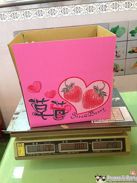 IMG_7993.JPG IMG_7993.JPG