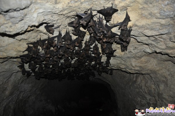 600_1217782_2 600_1217782_2