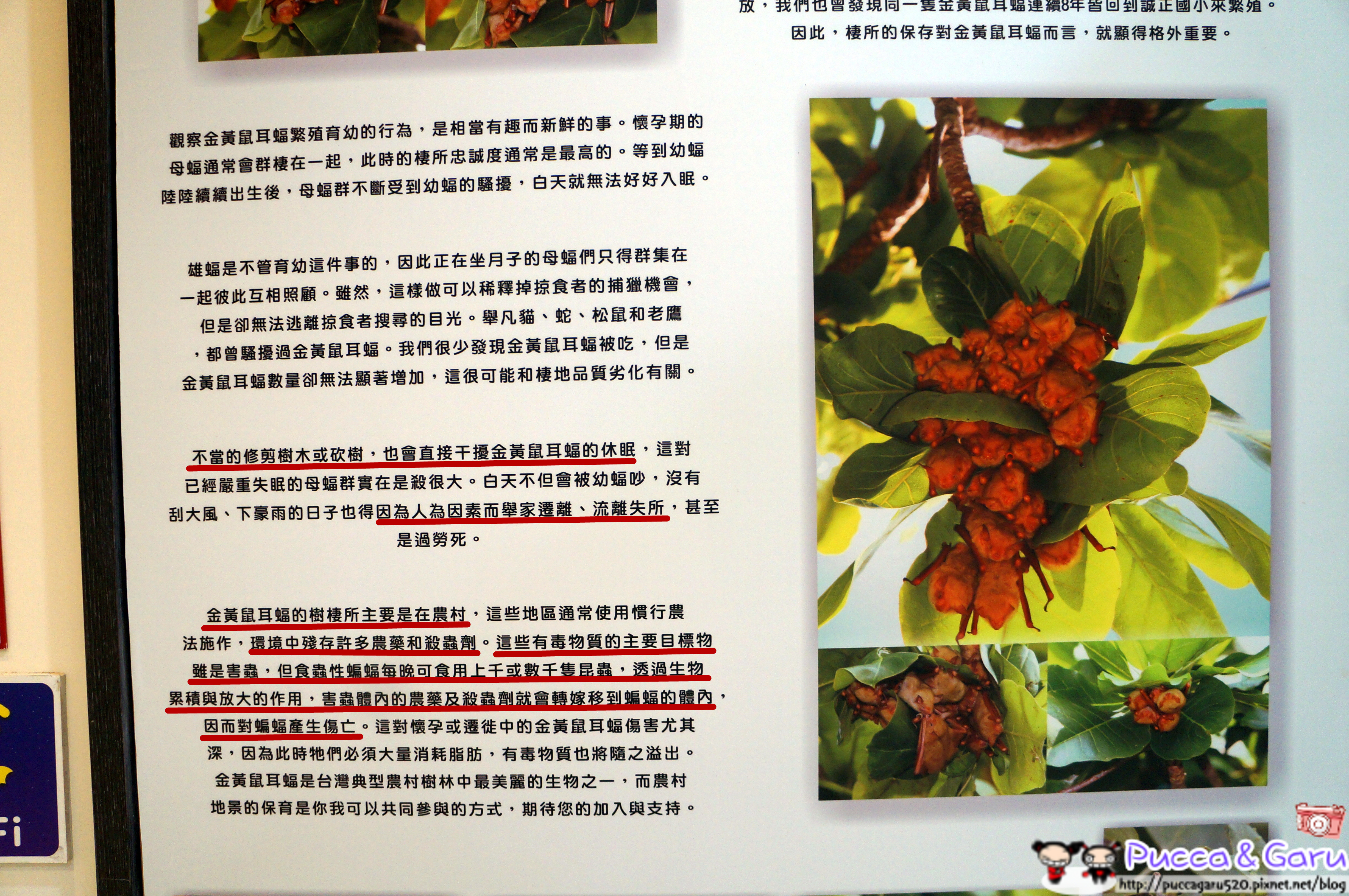 DSC06049_副本 DSC06049_副本