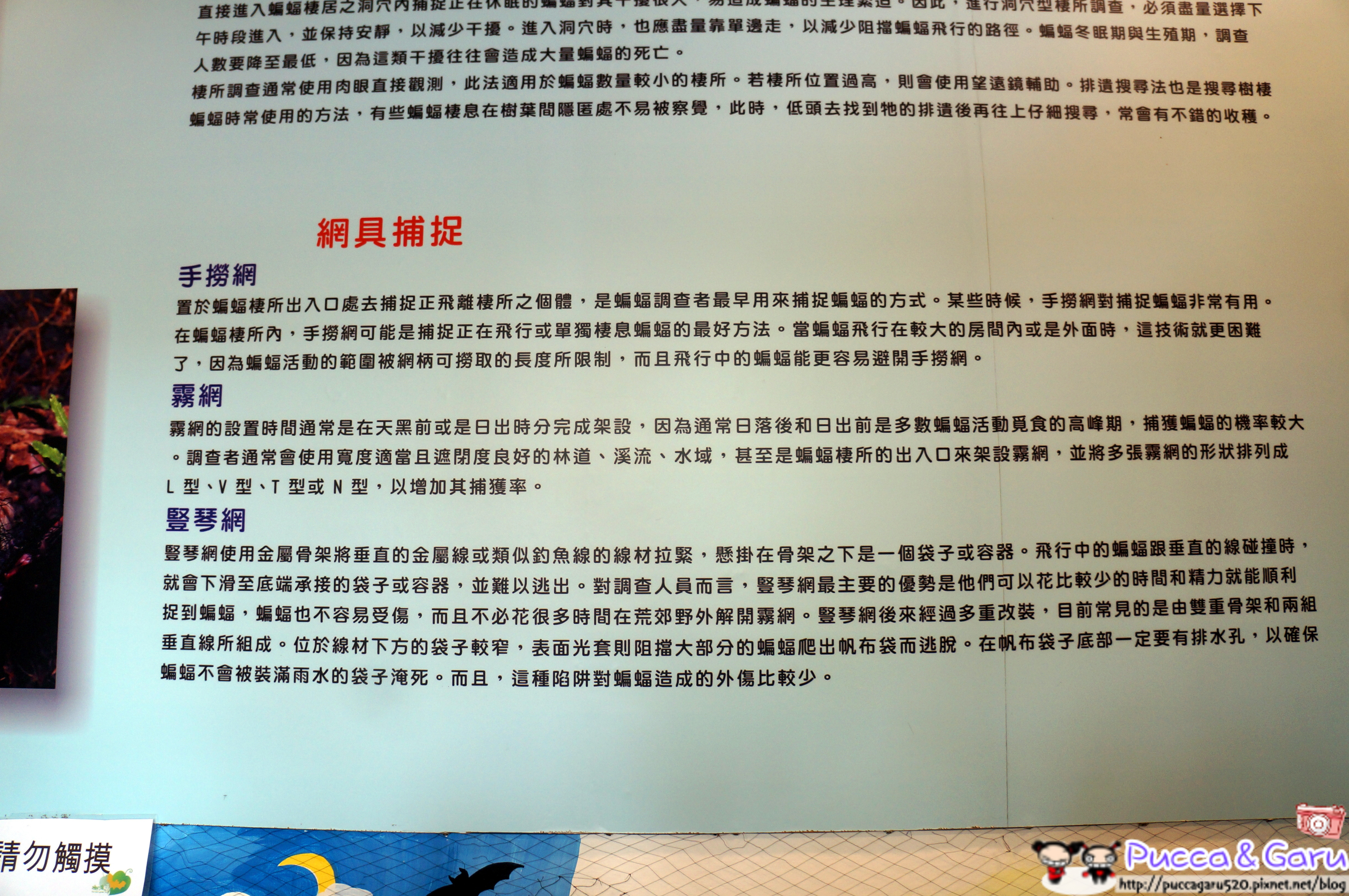 DSC06085_副本 DSC06085_副本