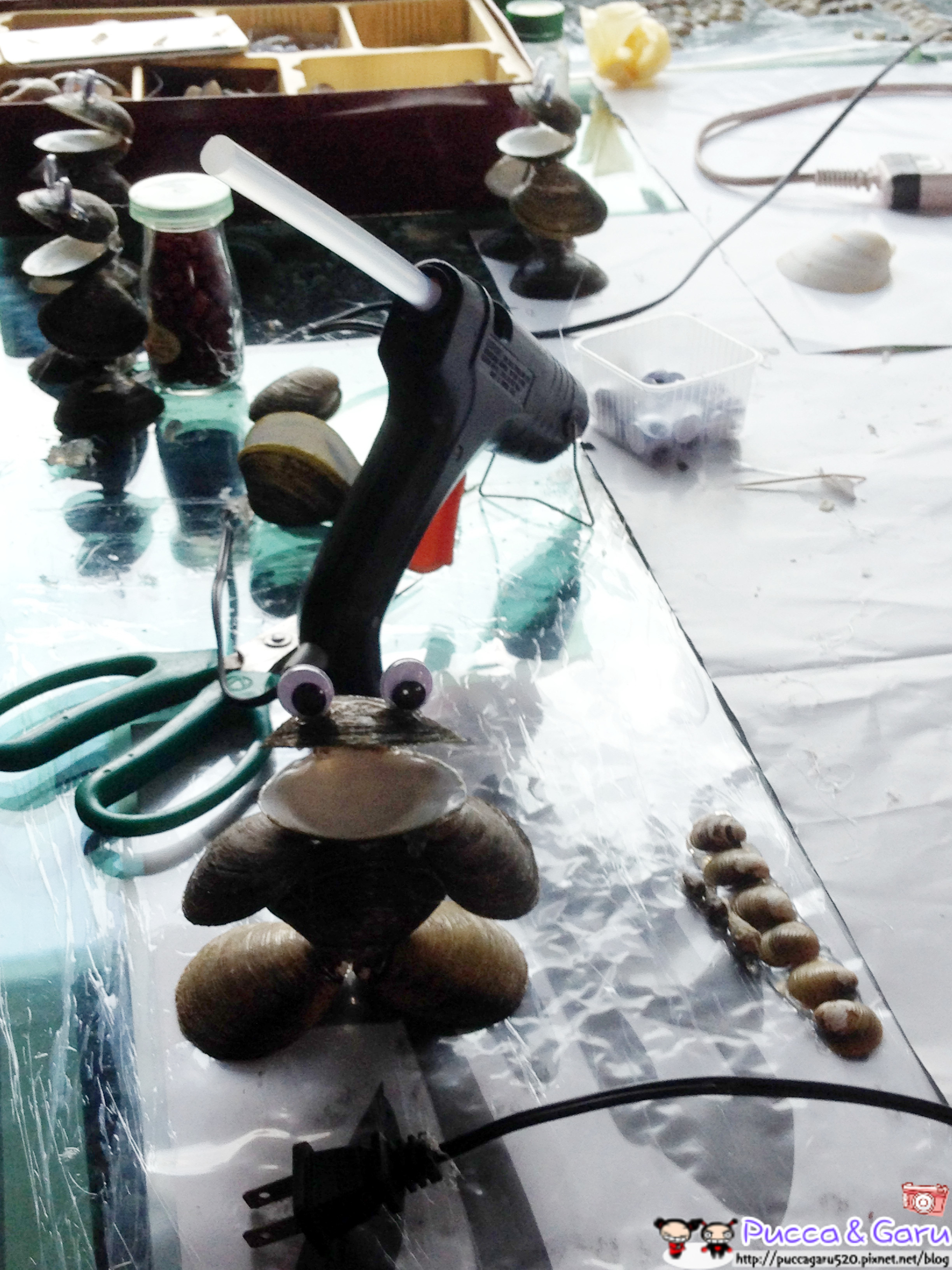 IMG_2584_副本 IMG_2584_副本