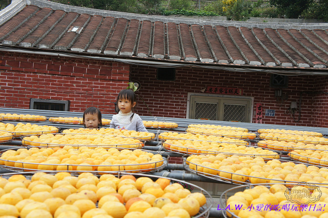 20131116@金漢柿餅-01.jpg 20131116@金漢柿餅-01.jpg