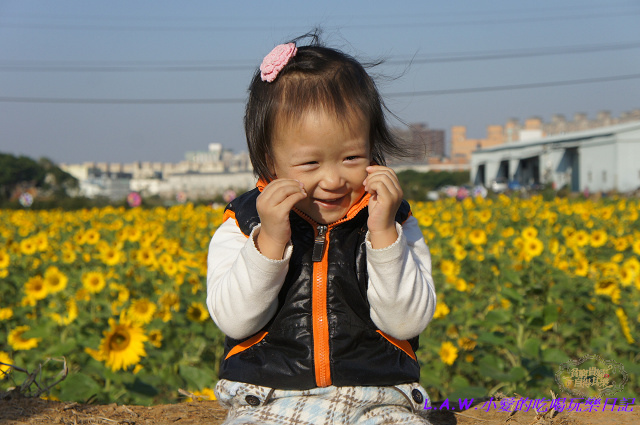 平鎮花海集-01.jpg 平鎮花海集-01.jpg