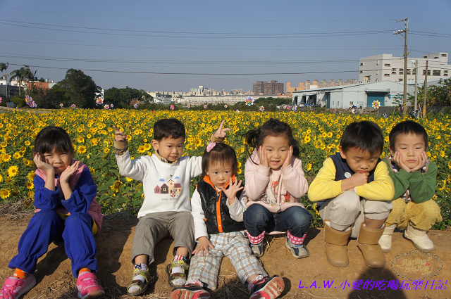 平鎮花海集-02.jpg 平鎮花海集-02.jpg