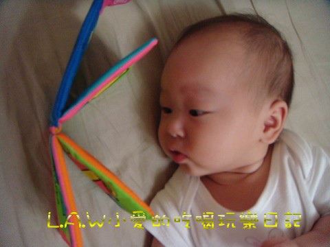 Wing4M-01 (1).jpg Wing4M-01 (1).jpg