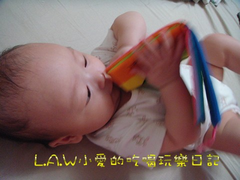 Wing4M-01 (2).jpg Wing4M-01 (2).jpg