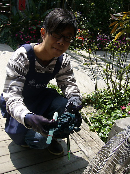 P1180031.jpg