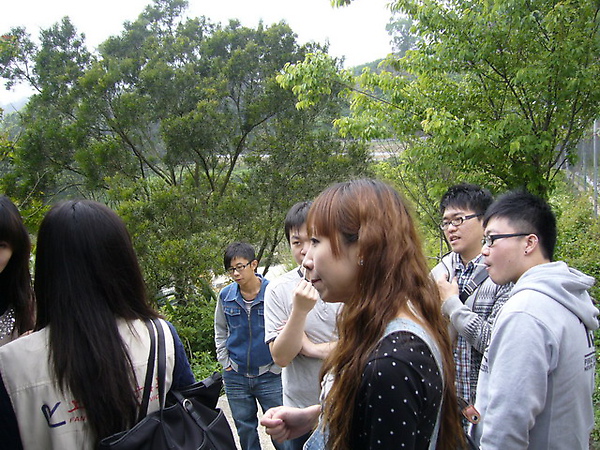 P1180130.jpg