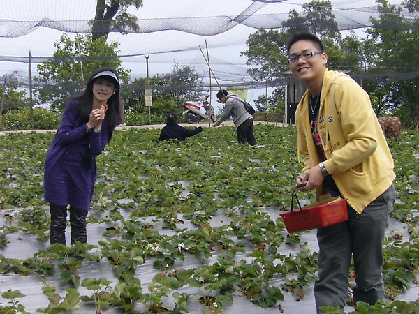 P1180147.jpg