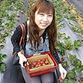 P1180150.jpg